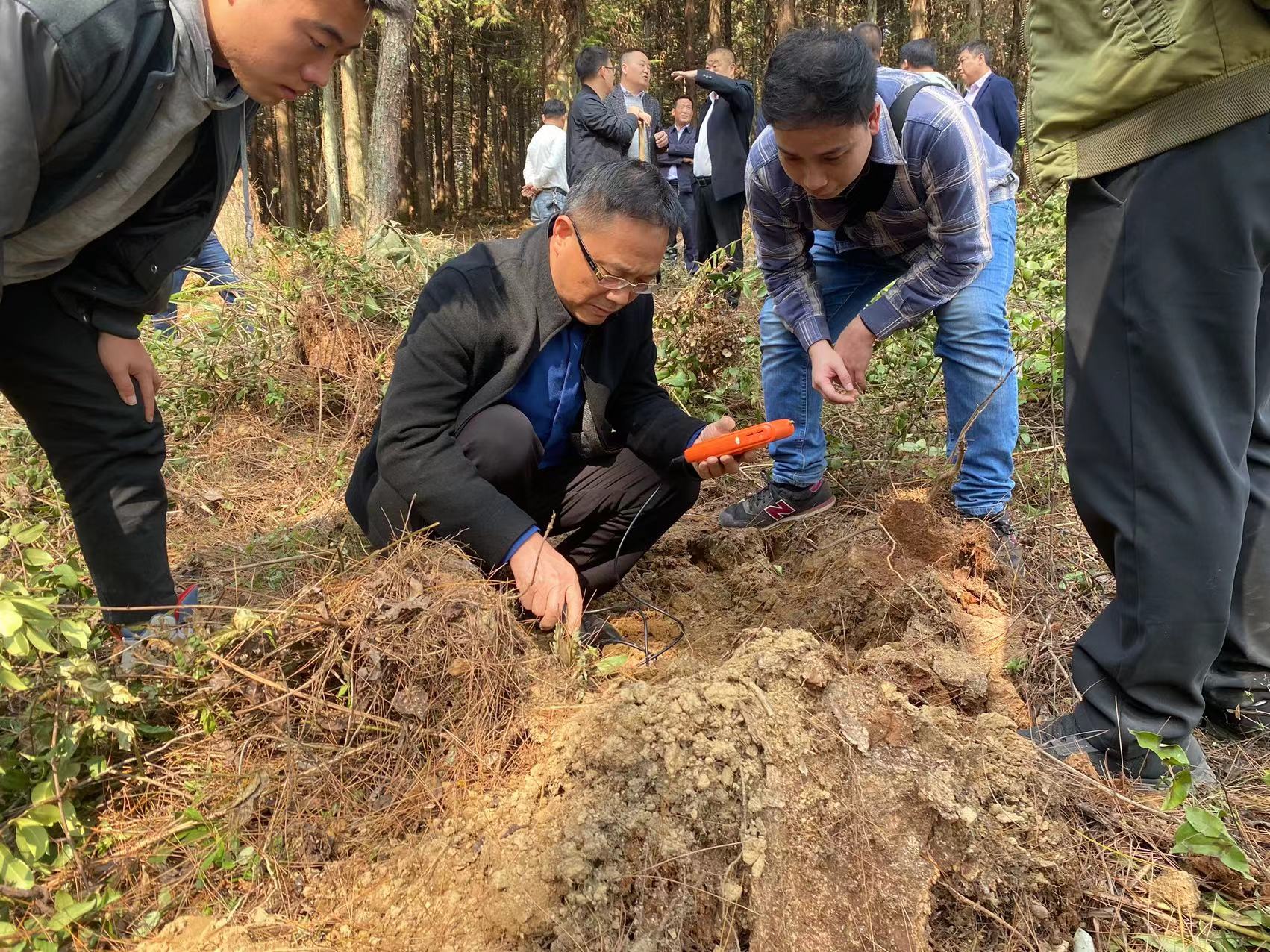 楊仁德赴石阡縣林下羊肚菌省級(jí)示范基地調(diào)研